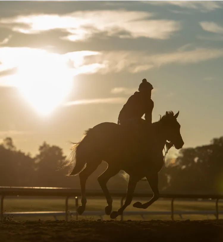 What information is HIWU looking for?