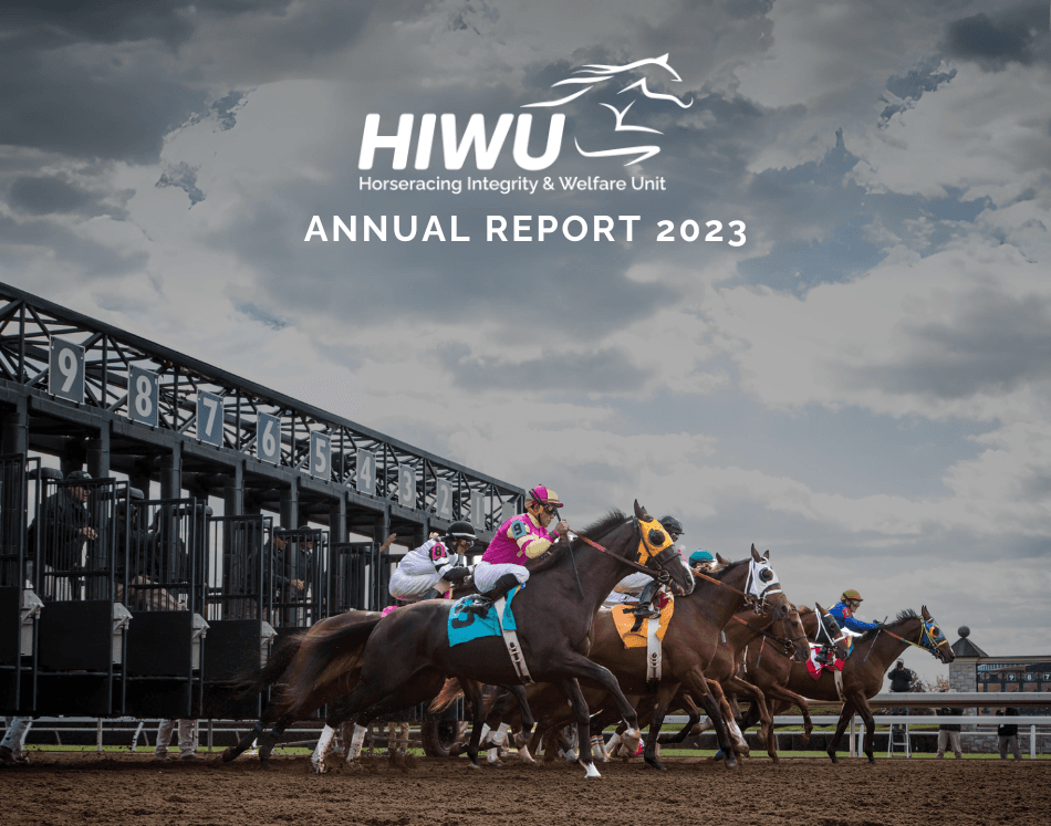 HIWU Annual Report 2023 Cover Thumbnail