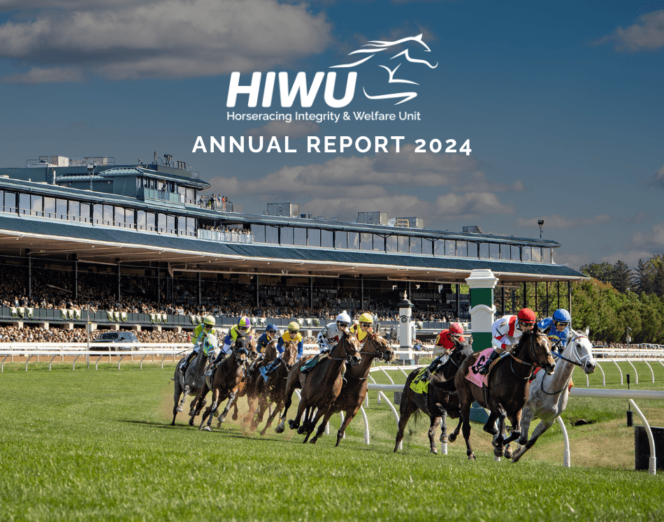 HIWU Annual Report 2024 Cover Thumbnail