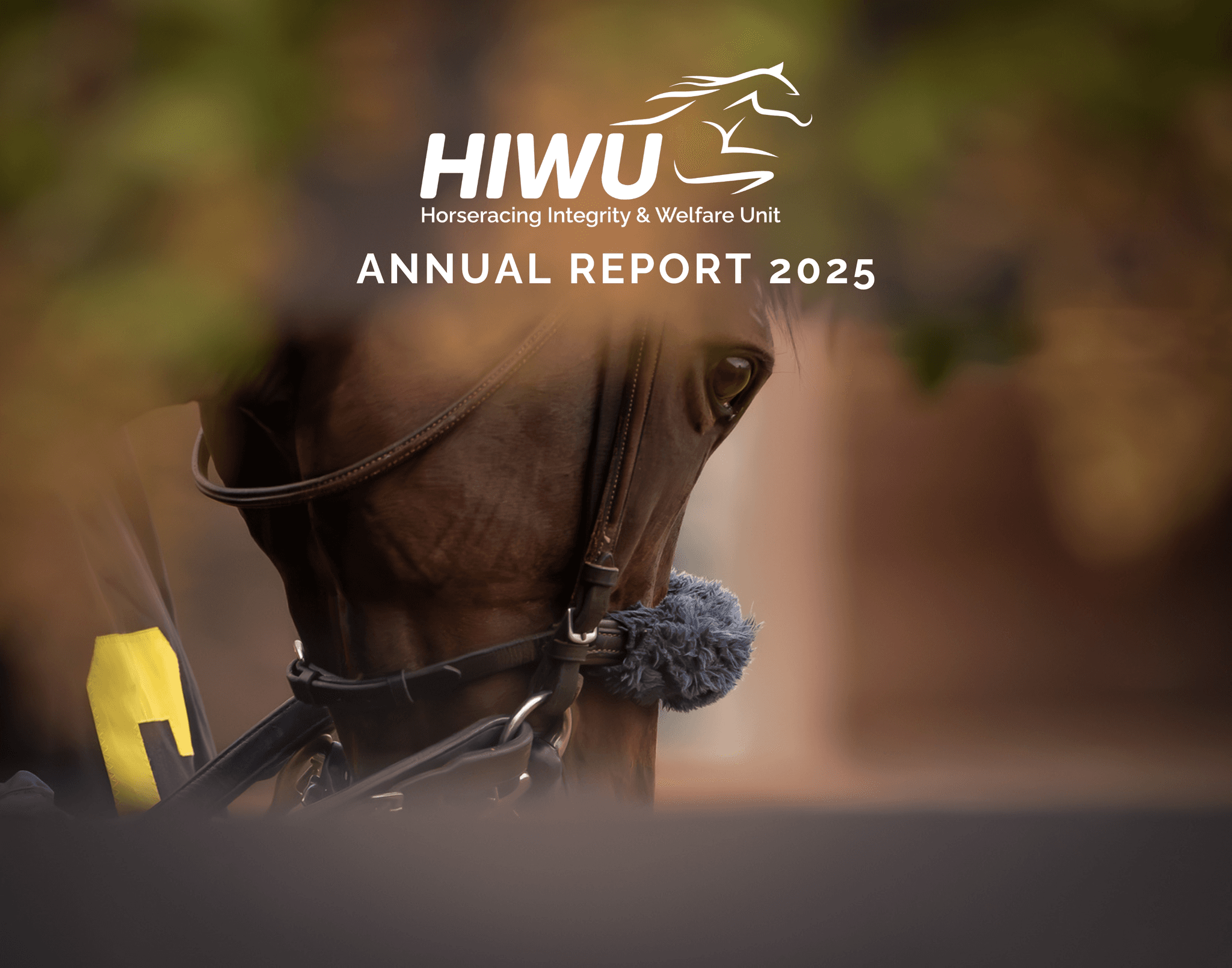 HIWU Annual Report 2025 Cover Thumbnail